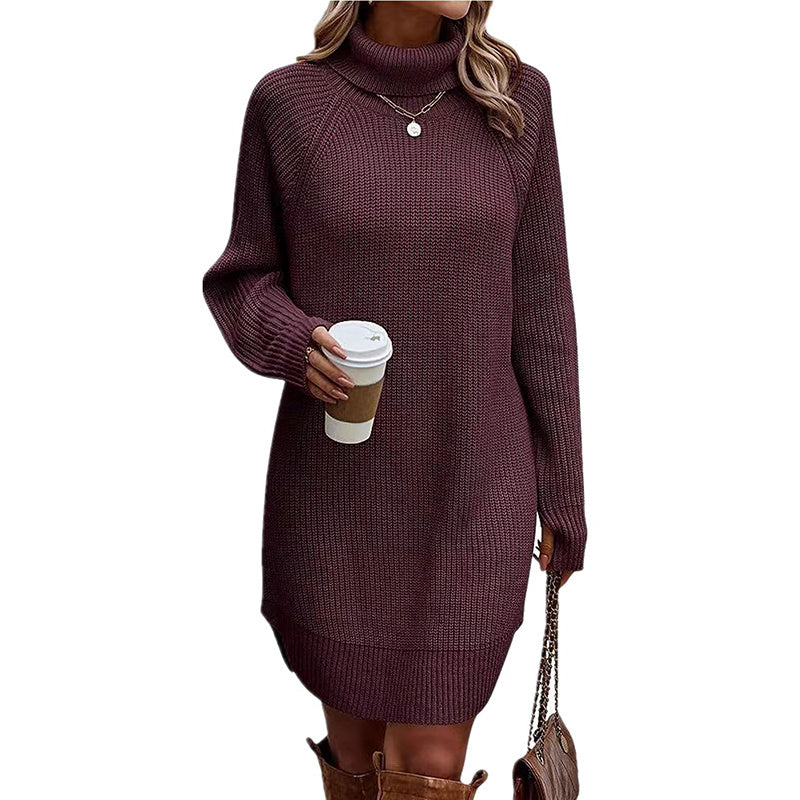 Cozy & Chic Turtleneck Sweater Mini Dress – Long Sleeve Knit Pullover for Fall