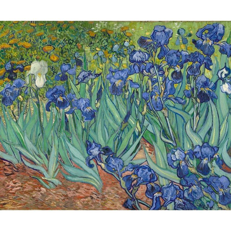 Digital Oil Painting Kit – Classic 24-Color Frameless Canvas | Relaxing DIY Art for Adults & Teens